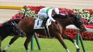 穴を狙うなら内枠がベター？ 近10年の日本ダービー枠順傾向を調べてみた