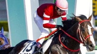 先週エアグルーヴC制覇の武豊騎手 ウマ娘・藤田晋オーナー所有の2連勝馬でディープインパクトCもV狙う