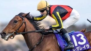 【日本ダービー・調教後馬体重】レガレイラは464kg、ジャスティンミラノは514kg