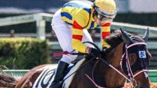 母はセール最高額の6億円馬 ゲンパチエトワールが連勝狙う