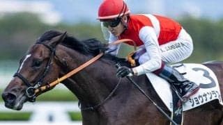 高額馬×若手騎手のタッグが日本ダービー参戦 二人三脚で世代の頂点狙う