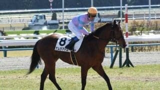 【葵S枠順確定】ナムラアトムは1枠1番、エトヴプレは5枠10番