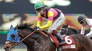 【目黒記念枠順確定】シュトルーヴェは6枠9番、サトノグランツは2枠2番