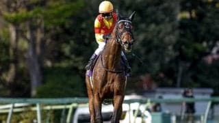 友道厩舎の日本ダービーは「3-0-0-10」ジャスティンミラノを買うなら頭固定？