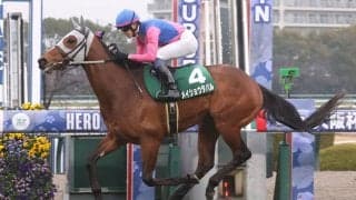 【日本ダービー】メイショウタバルが出走取消