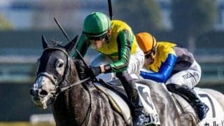 圧倒的内枠有利の京都芝1200m メインは絶好3番枠に注目を