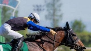 【鳴尾記念想定馬・騎手】ヨーホーレイク、ニホンピロキーフなど14頭