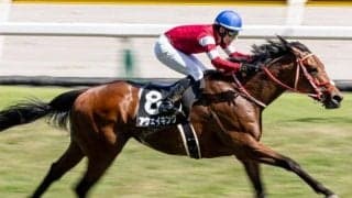 近親に凱旋門賞馬の藤田オーナー所有馬 葵Sを制しダービー出走の“ステーブルメイト”を後押しなるか