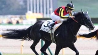 一族にエアグルーヴなどGI馬ズラリの良血馬 “マジックマン”の手綱で初勝利なるか