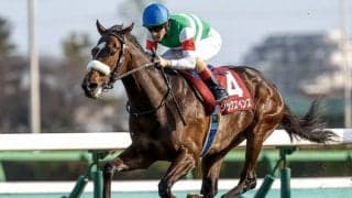 定年間近の国枝師に“幸運”もたらすか 「運を呼び込む」重賞ウイナーが日本ダービー参戦