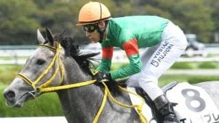 【今日の注目ポイント】京都で3歳馬によるスプリント重賞・葵S