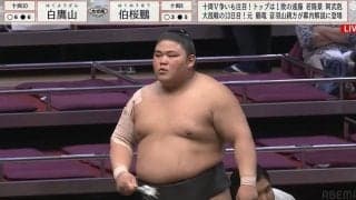 「か、かわいい」「ピ、ピンク？」伯桜鵬の化粧まわしに反響 “令和の怪物”の意外な姿にファン驚き