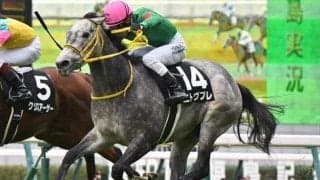 【葵S予想】未来のスプリンターが集う3歳短距離重賞 直線平坦で逃げ、先行馬が有利な舞台