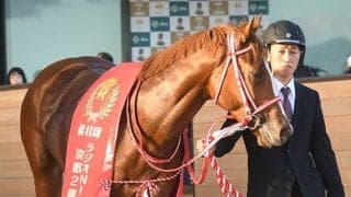 【日本ダービー】“夏季五輪開催年”の日本ダービーは名馬誕生の予感… 過去には無敗三冠馬など