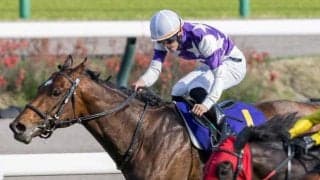 日本ダービーに挑む“二刀流” 勝利すれば35年ぶりの記録かかる一戦に