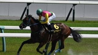 【鳳雛S結果】カシマエスパーダが人気に応え3連勝