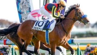 【目黒記念予想】苦戦を強いられる高齢馬 ベテランに求められるのは十分な適性を示す実績