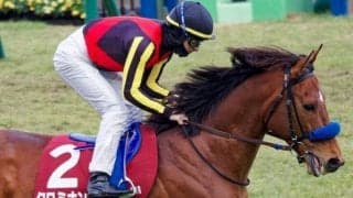 【目黒記念前日オッズ】クロミナンスが3.7倍で1番人気