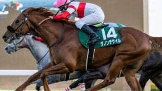 日本ダービーは決め手が生きる？ 好調エピファネイア産駒のダノンデサイルで高配狙い