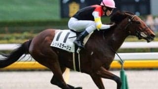 母はGI馬ラキシス レッドミラージュが東京芝2400mで巻き返しなるか