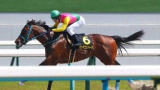 【鳳雛S】カシマエスパーダが3連勝…4馬身差で完勝