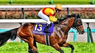 【今日の注目ポイント】東京で競馬の祭典・日本ダービーと目黒記念