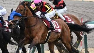 【目黒記念予想】ダービーの後にもうひとつの戦い 持久力問われるハンデ重賞