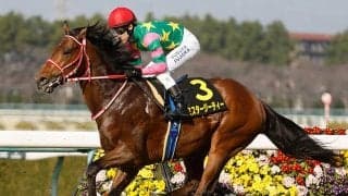 【日本ダービー】阪神タイガースの“アレ(A.R.E.)”翌年のダービーに共通するデータ 26日は伝統の一戦も…