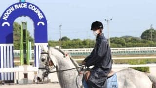 【高知競馬】ジョーアラビカが誘導馬デビュー