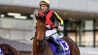 日本ダービーが行われる東京芝はコンディション絶好 内でタメて切れる馬が狙いに