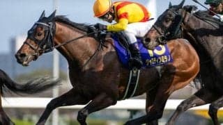 【日本ダービー・馬体重】ジャスティンミラノは512kg(±0)、レガレイラは458kg(+2)