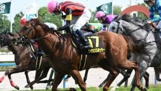 【安土城S結果】エイシンスポッターがゴール前の混戦制す