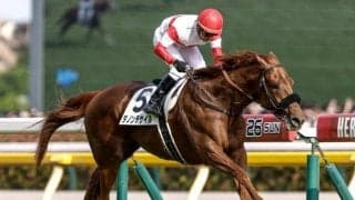 【JRA・WIN5】ダービーデーのWIN5は的中224票、配当238万4310円