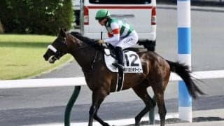 【日本ダービー】無敗馬シックスペンスは初黒星…国枝師は悲願ならず