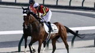 【日本ダービー】紅一点レガレイラは5着敗退