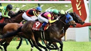 【目黒記念】モレイラ騎乗、シュトルーヴェが重賞連勝