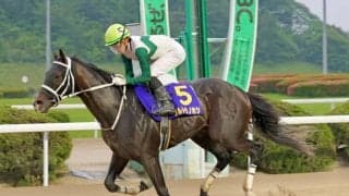 【佐賀・栄城賞結果】ウルトラノホシが圧倒的人気に応え2冠達成