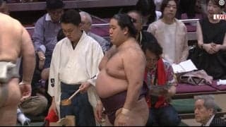 “めっちゃキュート”だニャン 幕内力士、“ぐうかわ”と評判の化粧まわしに悶絶の声