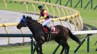 【目黒記念】モレイラ「とても良い馬」シュトルーヴェ重賞連勝