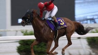 【高知・福永洋一記念】グッドヒューマーが4馬身差完勝…永森「歳を感じさせない馬」