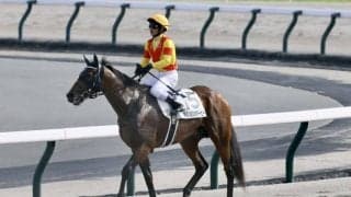 【日本ダービー】戸崎「人気に応えられず申し訳ない」レース後ジョッキーコメント