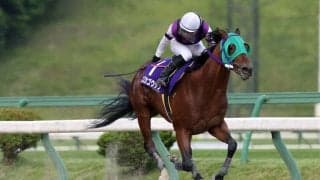 【盛岡・あすなろ賞】スズカゴウケツが3馬身差完勝…菅原辰「手応えが抜群」