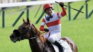 WIN5は228万円超の払戻し…日本ダービーはダノンデサイルが突き抜ける