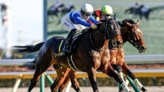 【鳴尾記念見どころ】充実一途ロードデルレイの3連勝に期待