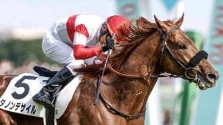 【日本ダービー】売上は298億1443万5600円で昨年より約14.3億円増加