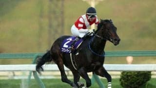 7戦無敗のフジユージーンが東京ダービー回避 岩手競馬が発表