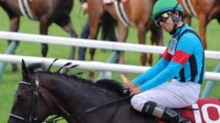 夏競馬は今も3歳馬狙いが有効？古馬混合戦の成績を調べてみた