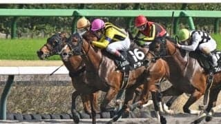 【先週のJRA抹消馬】ダートで活躍のドライゼ、良血馬アーバンデザインなど