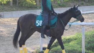 西の開幕戦は京都芝1600m セレクト高額取引馬などが集うレベル高い一戦に/関西馬メイクデビュー情報
