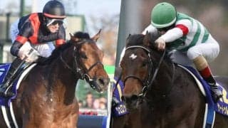 あなたが今年期待している新種牡馬は？ サートゥルナーリアやルヴァンスレーヴに多くの声